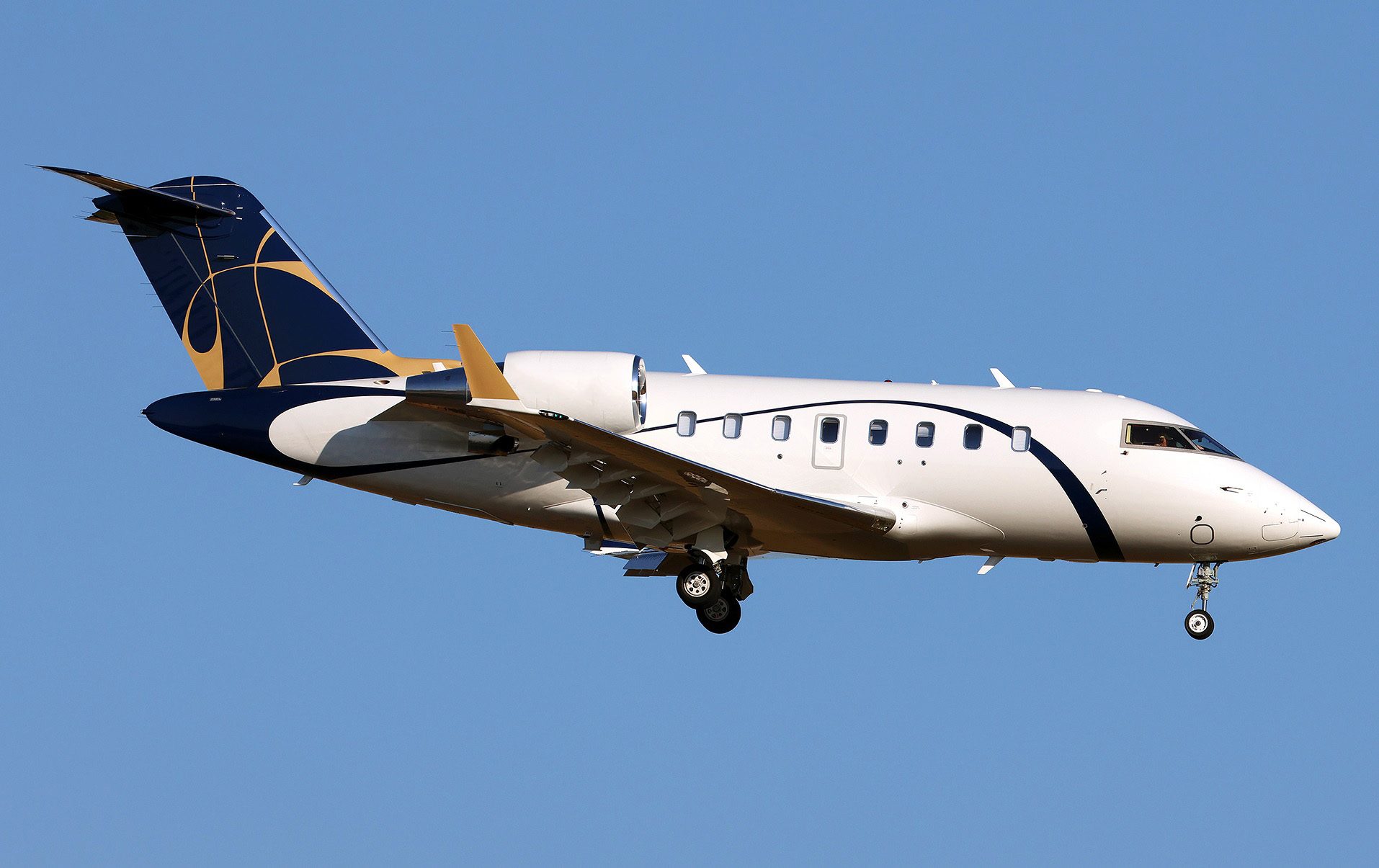 Bombardier Challenger 650 air ambulance jet in flight, exterior side view